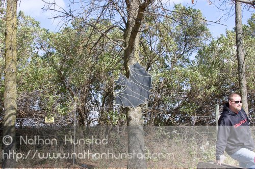 Apple_Orchard_2008-10-18_IMG_2356